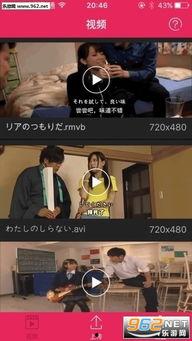 团团热在线视频精品,探索视频精品的魅力之旅