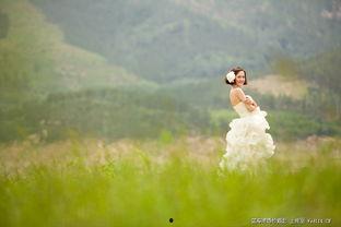 青草青青在线视频精品